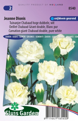 Tuinanjer Chabaud Jeanne Dionis (Dianthus) 90 zaden